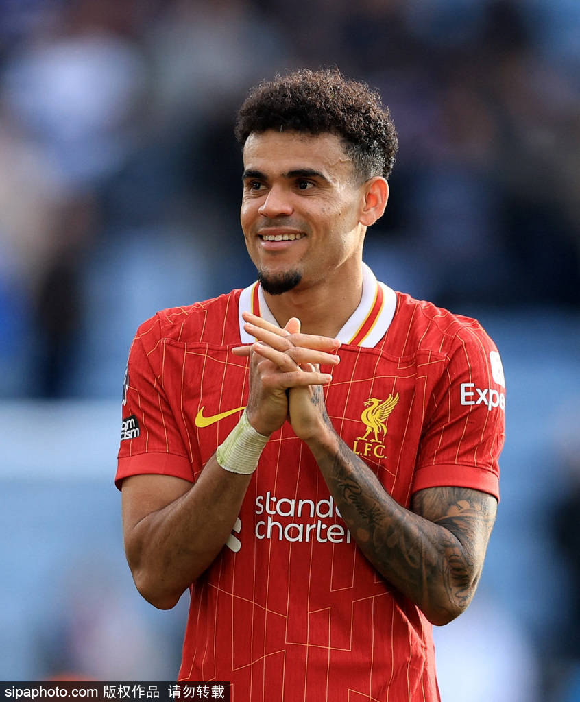 他们采用的 他们采用的